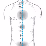 trajet méridien vaisseau conception ren mai